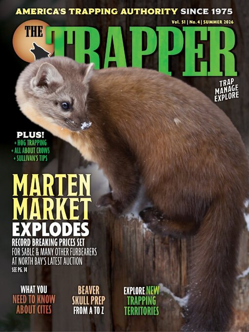 Cover image for The Trapper